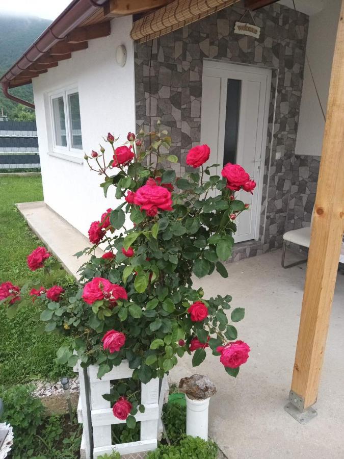 Apartman Visoko-Oaza Mira 外观 照片